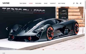 Vayne Pro (screenshot desktop)