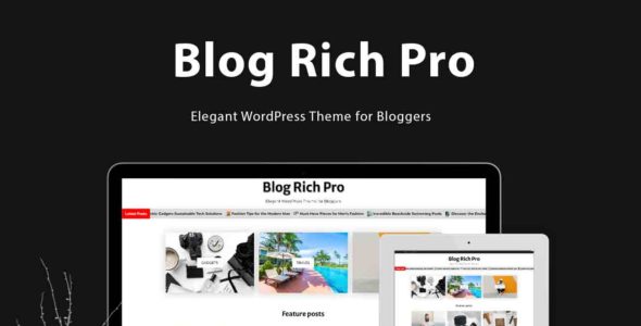 Blog Rich Pro (WP Theme Space)