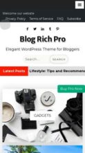 Blog Rich Pro (screenshot mobile)