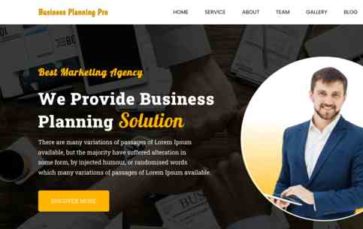 Business Planning Pro (screenshot desktop)