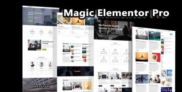 Magic Elementor Pro (WP Theme Space)