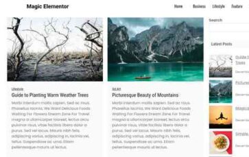 Magic Elementor Pro (screenshot desktop)