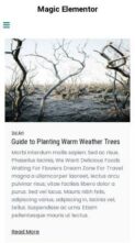 Magic Elementor Pro (screenshot mobile)