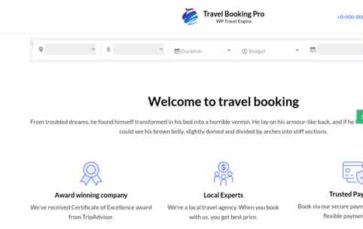 Travel Booking Pro (screenshot desktop)