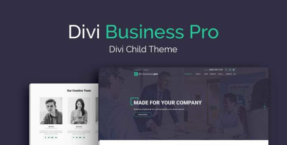 Divi Business Pro (WP Zone)