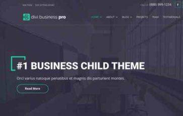 Divi Business Pro (screenshot desktop)