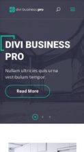 Divi Business Pro (screenshot mobile)