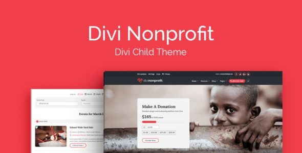 Divi Nonprofit (WP Zone)