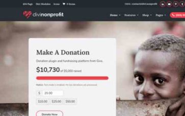 Divi Nonprofit (screenshot desktop)