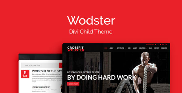 Wodster (WP Zone)