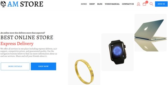 AmStore Pro (WpDevArt)