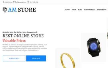 AmStore Pro (screenshot desktop)