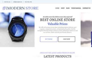 Ecommerce Modern Store Pro (screenshot desktop)