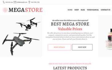 MegaStore (WpDevArt) (screenshot desktop)