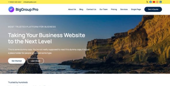 BigGroup Pro (WPEnjoy)