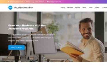 VisualBusiness Pro (screenshot desktop)