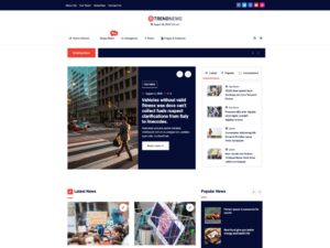 Pro Trend News (WPFactory)