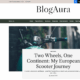 BlogAura Pro (WPInterface)