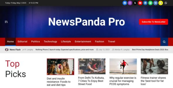 NewsPanda Pro (WPInterface)