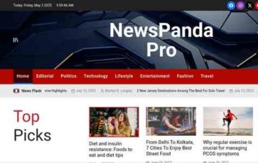 NewsPanda Pro (screenshot desktop)