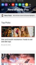 NewsPanda Pro (screenshot mobile)