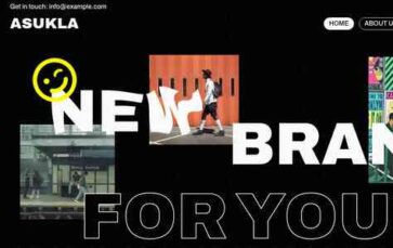 Asukla Premium (screenshot desktop)