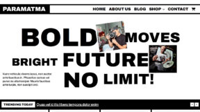 Paramatma Premium (WPKoi)