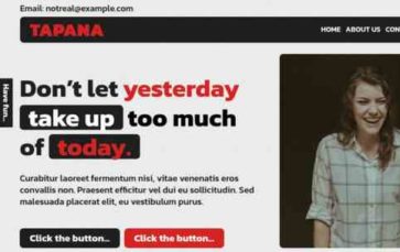 Tapana Premium (screenshot desktop)