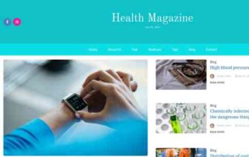 WP Magazine Plus (screenshot desktop)