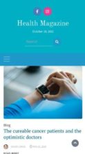 WP Magazine Plus (screenshot mobile)