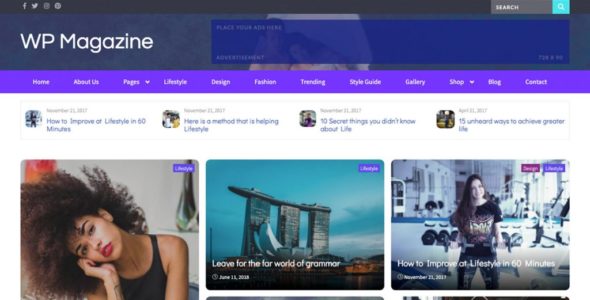 WP Magazine (WPMagPlus)