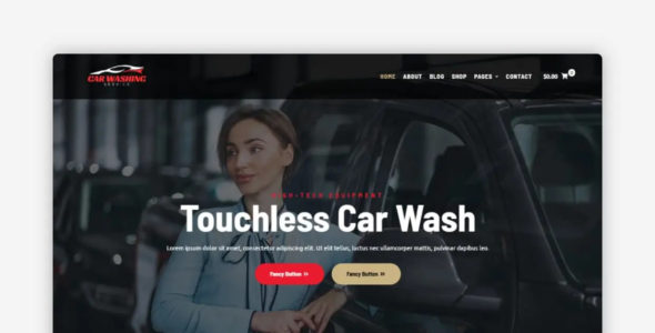 Car Washing (WpMania)