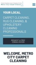 Carpet Cleaner (screenshot mobile)