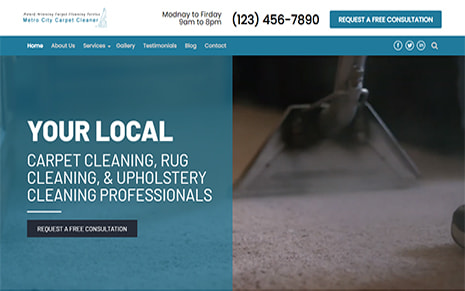 Carpet Cleaner (WpMania)