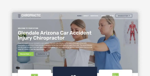 Chiropractic (WpMania)