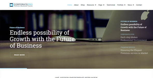 Corporate Pro (WpMania)