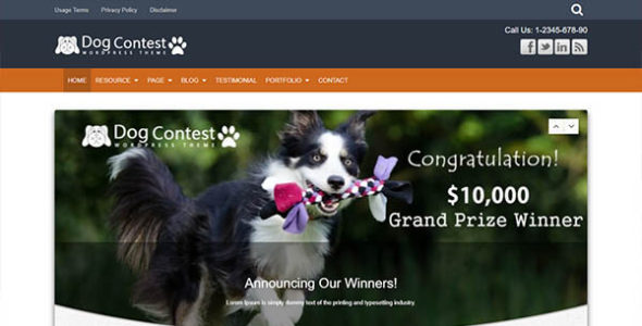 DogContest (WpMania)