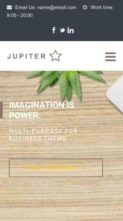 Screenshot Mobile Jupiter (WpMania) (screenshot mobile)