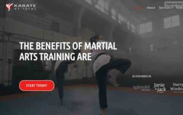 Karate (WpMania) (screenshot desktop)