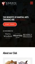 Karate (WpMania) (screenshot mobile)