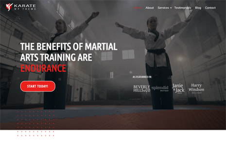 Karate (WpMania)