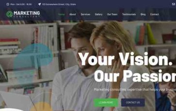 Marketing Consultant (screenshot desktop)