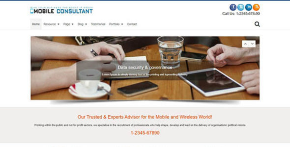 Mobile Consultant (WpMania)