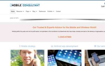 Mobile Consultant (screenshot desktop)