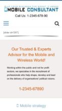 Mobile Consultant (screenshot mobile)