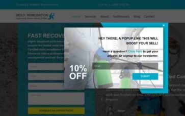 Mold Remediation (screenshot desktop)