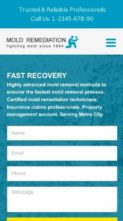 Mold Remediation (screenshot mobile)