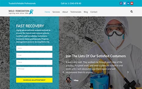 Mold Remediation (WpMania)