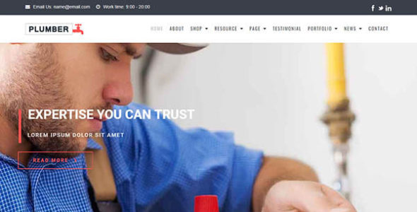 Plumber (WpMania)