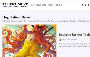 Salient Drive (screenshot desktop)